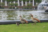 IMG_7697