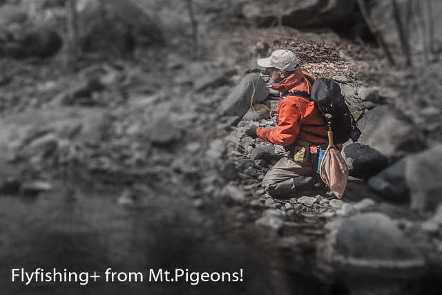 Episode1293 トレランザックを渓流釣りに使ってみた Flyfishing From Mt Pigeons