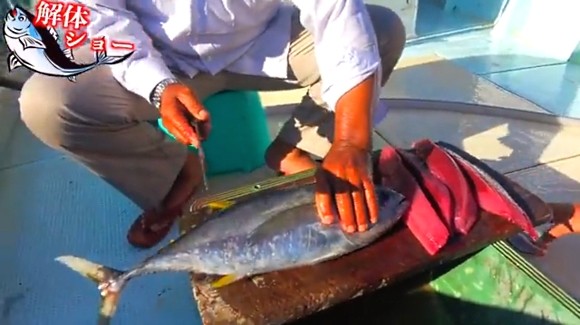 ハイサイ探偵団 マグロ解体 沖縄 石垣島