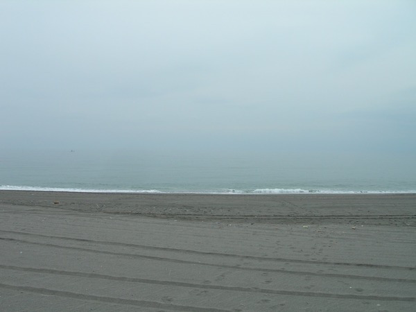 2015030603