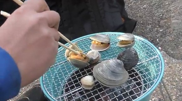 アサリ オキシジミ 赤貝 ホンビノス 潮干狩り ハイサイ探偵団