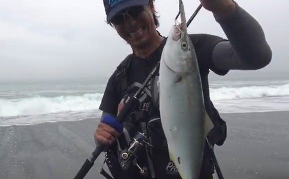 沼田純一 ライトショアジギング 青物
