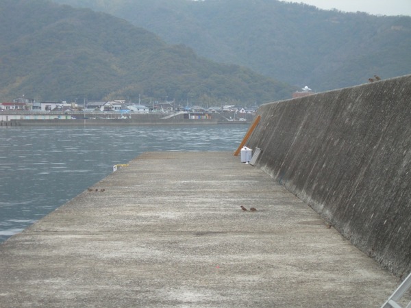 2015030607