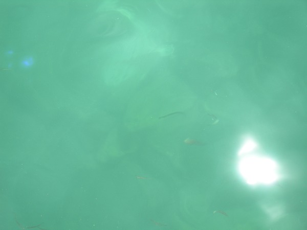 2015032006