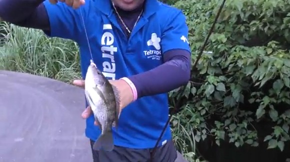 つーばー持ち ハイサイ探偵団 釣り