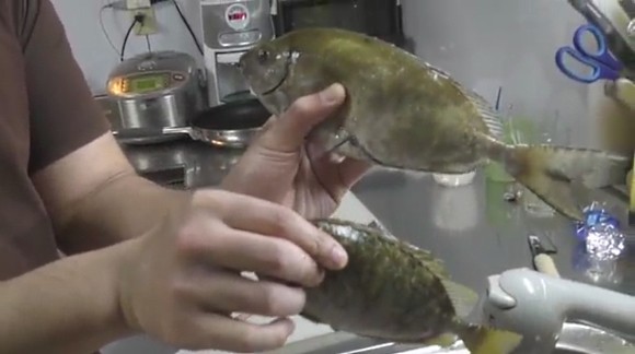 武C ハイサイ探偵団 沖縄 アイゴ 毒魚 料理