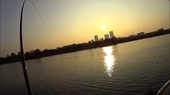 コイ釣り 夕日 パンプカ