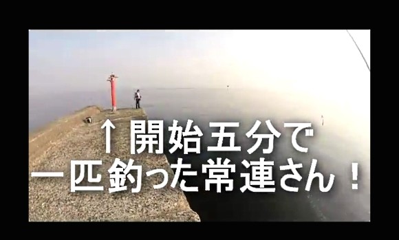 シーバス 沖堤防