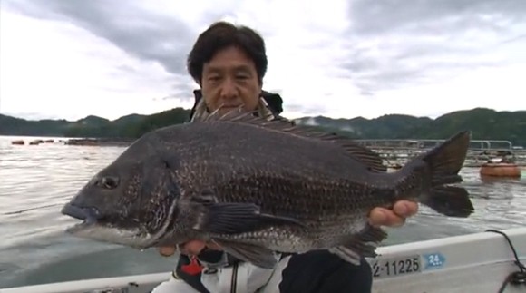 チヌ クロダイ 山本太郎 中切り 宙切り 高知 宿毛