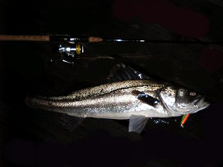 28fce84d.jpg