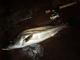 e62720d7.jpg