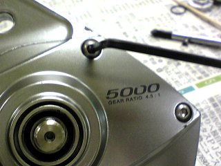 f1026545.jpg