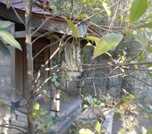 DSCN0790