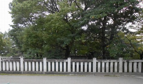 jinjya020