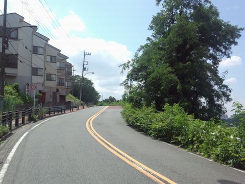 seiseki