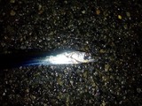 IMG_20170916_213730