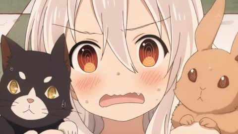 754