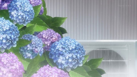 ancb00389