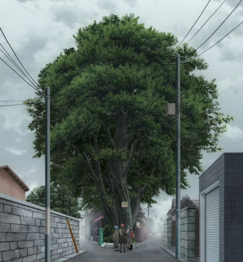 木
