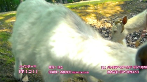 ancb00402
