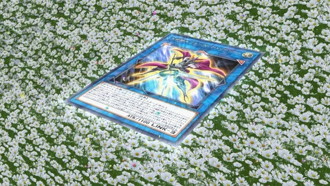 ANCB000571