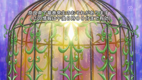 ANCB002704