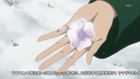 ANCB001096