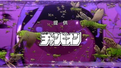ancb00264