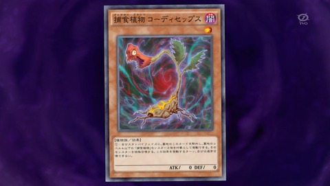 ANCB007960