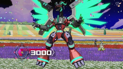 ANCB002478