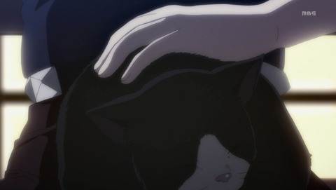 ANCB002118