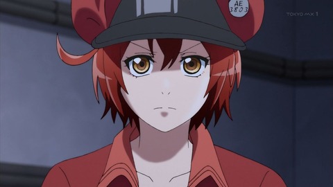 ancb00309