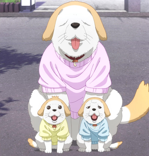 犬