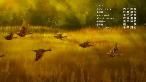 ancb00374