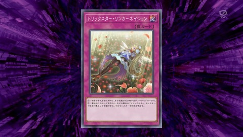 ANCB001488
