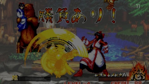 ANCB001559