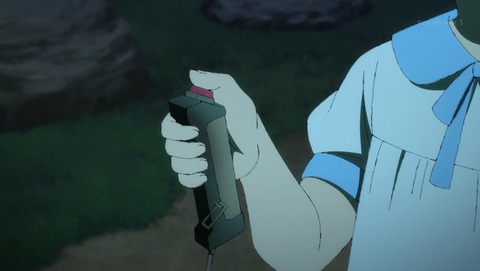 ANCB001329