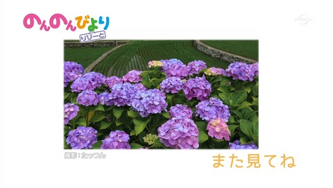 ancb04768