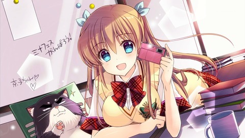 大図書館 12話