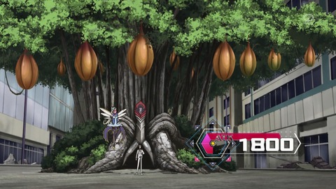 ANCB000569