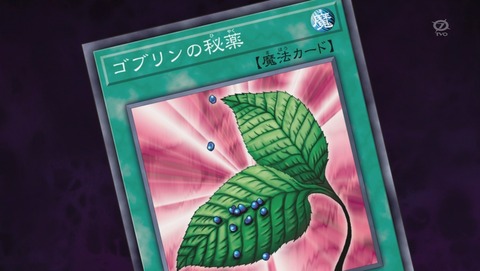ANCB001146