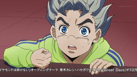 ANCB001576