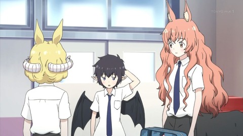 ancb00704