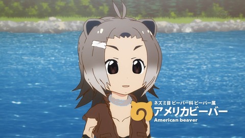 ancb00810