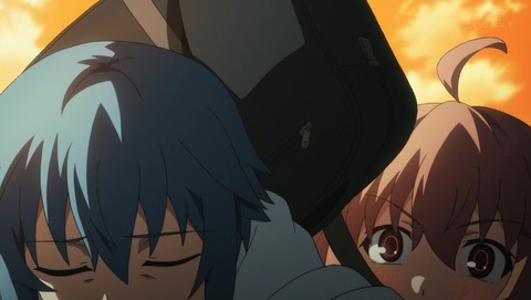 ANCB001106