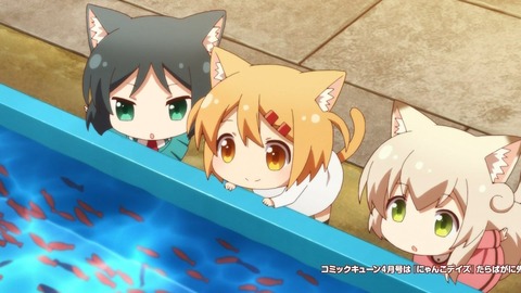 ancb00142