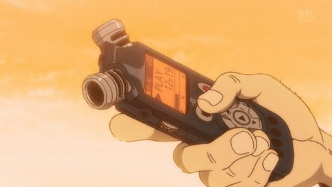 ANCB001229