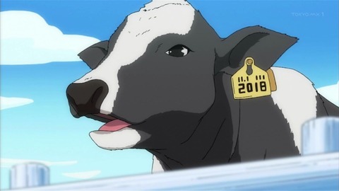 ancb00033