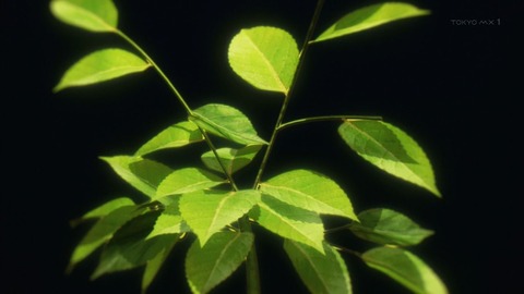 ancb01398