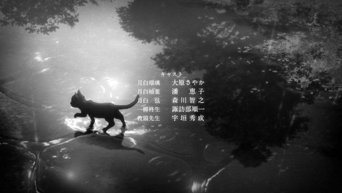 ancb002994